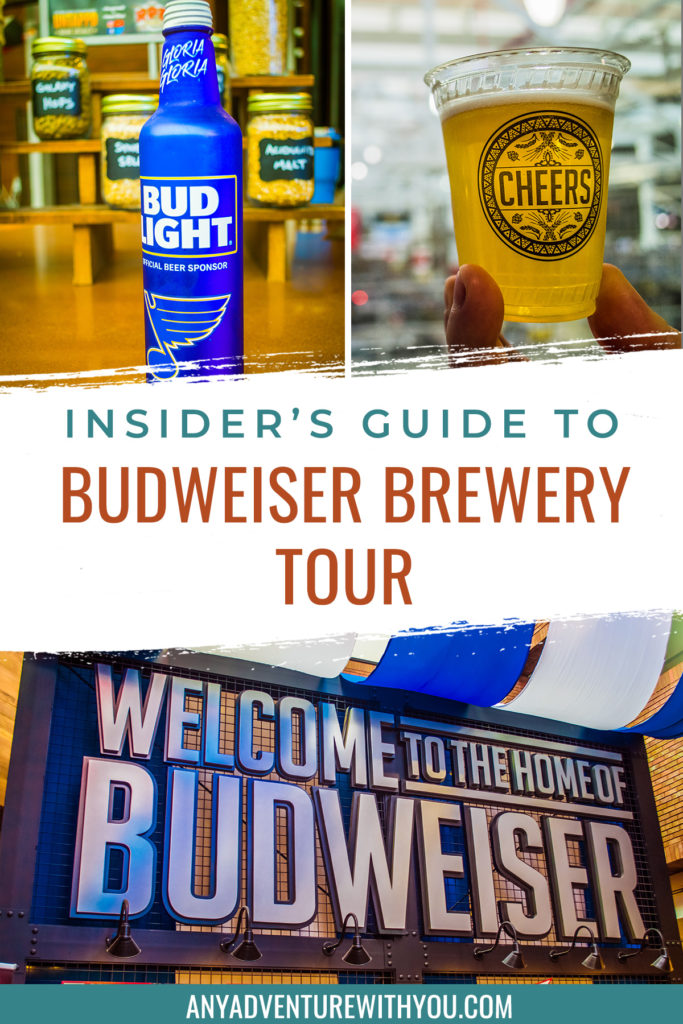 Brew Kettle - Picture of Budweiser Brewery Experience, Saint Louis