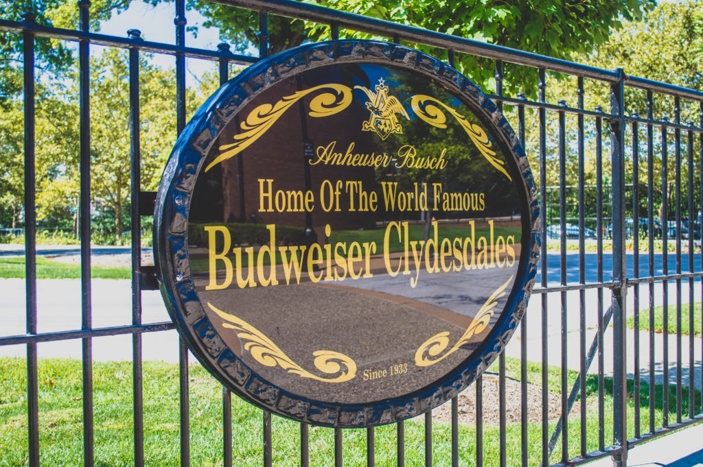 An insider guide with photos and an honest review of the Budweiser tour in St. Louis. This tour is a must-do for any beer lover, but especially someone who wants to see a macro brewery in action. Click through to read a tour guide and see plenty of photos exploring the Clydesdales’ stables, the brewing facilities, and more #BudweiserTour #StLouis #BeerLovers #TravelGuide