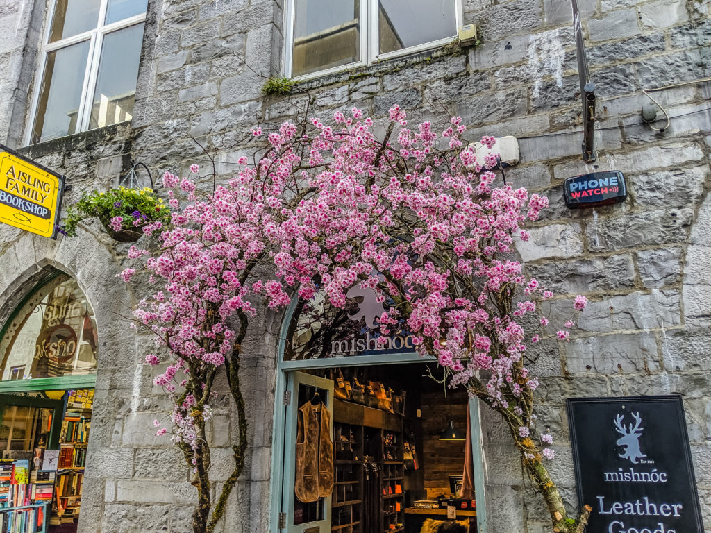 When you head to Ireland, you may think of traveling to big-name cities like Dublin to Kilkenny. But there are many reasons why Galway, Ireland should be on your bucket list. Here are five reasons why. #Ireland #Galway #TravelTips #IrelandTravel