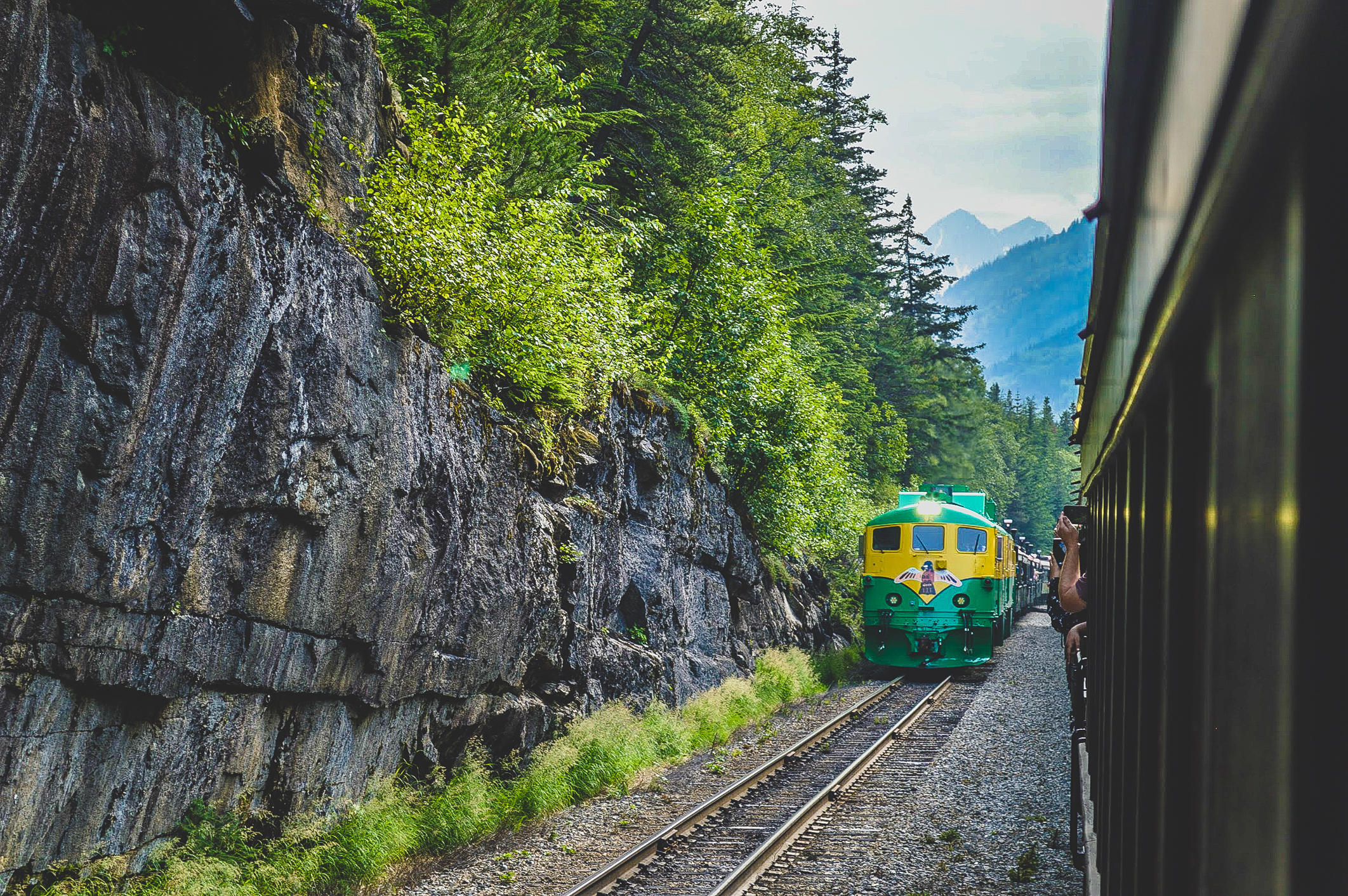 From watching wildlife to visiting glaciers, there are many things that make an Alaskan cruise special! Here are eight must-do things to make it perfect. #AlaskaCruise #Cruise #AlaskaCruiseTips #AlaskanCruiseTips