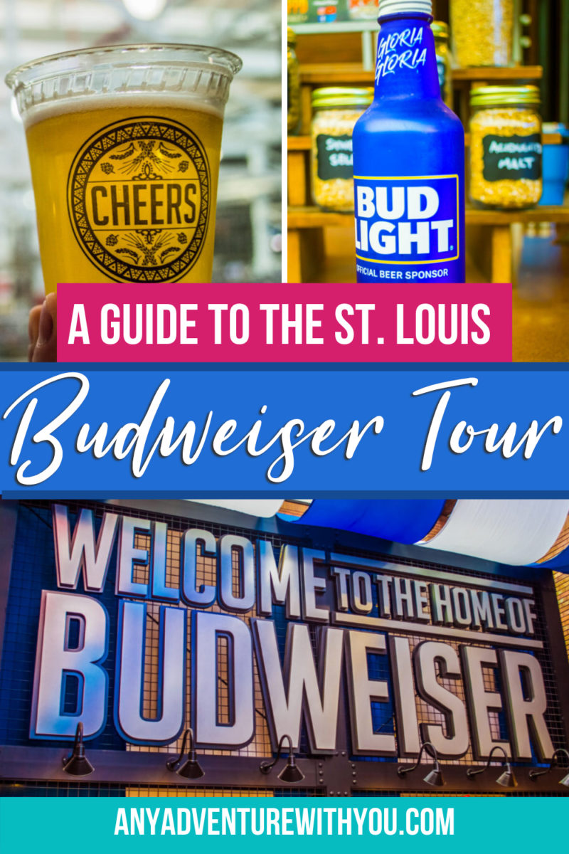 An insider guide with photos and an honest review of the Budweiser tour in St. Louis. This tour is a must-do for any beer lover, but especially someone who wants to see a macro brewery in action. Click through to read a tour guide and see plenty of photos exploring the Clydesdales’ stables, the brewing facilities, and more #BudweiserTour #StLouis #BeerLovers #TravelGuide