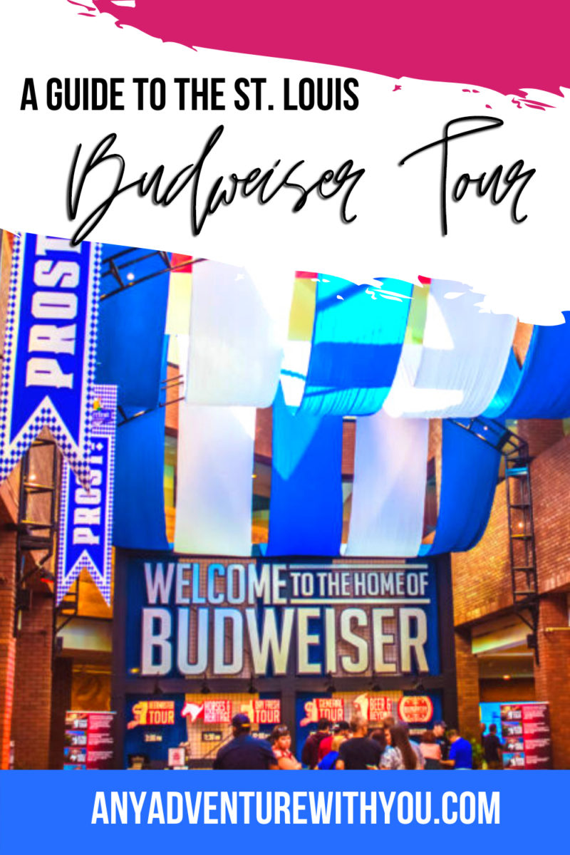 An insider guide with photos and an honest review of the Budweiser tour in St. Louis. This tour is a must-do for any beer lover, but especially someone who wants to see a macro brewery in action. Click through to read a tour guide and see plenty of photos exploring the Clydesdales’ stables, the brewing facilities, and more #BudweiserTour #StLouis #BeerLovers #TravelGuide